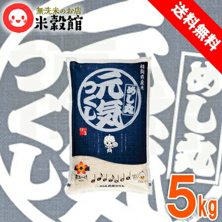 米 5kg 送料無料 無洗米 九州産福岡県産 元気つくし 5kg×1個 送料込み金のめし丸 研ぐお米