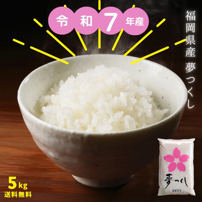 無洗米5kg米5kg送料無料九州・...