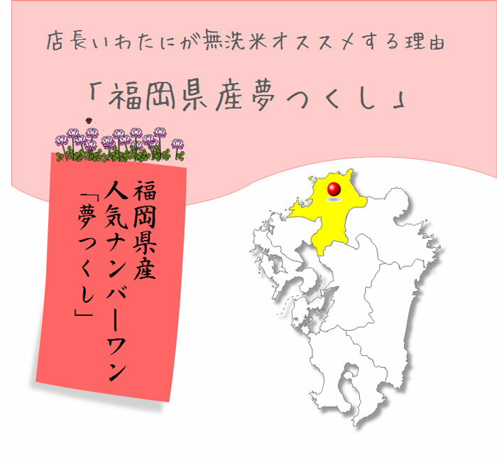 無洗米 10kg 送料無料 九州産 米 福岡県産 福岡県民米ダントツNo.1「夢つくし」10kg(5kg×2) 送料無料 令和元年産 2019年産新米出荷開始