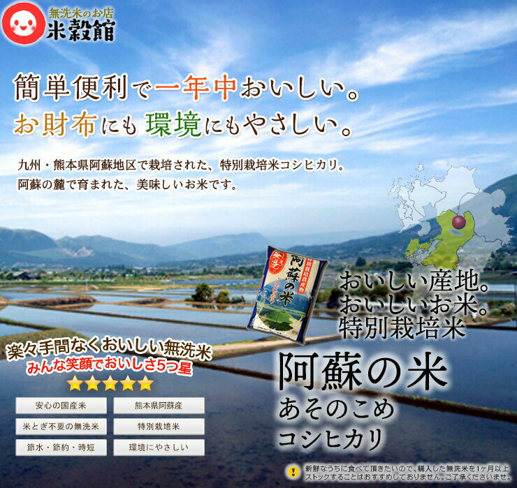 無洗米 10kg 送料無料 九州産熊本県阿蘇産 特別栽培米 コシヒカリ5kg×2個セット 送料込み