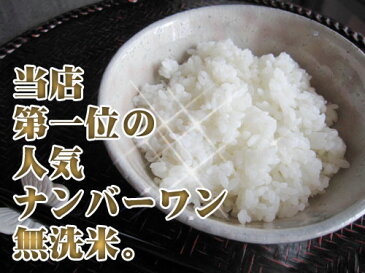 無洗米 送料無料 九州産 4kg当店ナンバーワン無洗米心＋阿蘇のコシヒカリ無洗米 4kg 送料無料 2キロ×2個