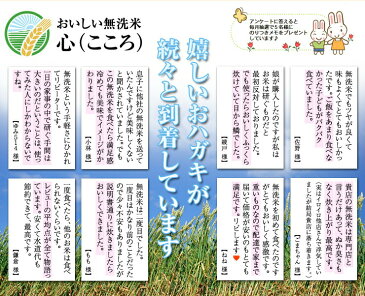 無洗米 2kg 九州産 米 無洗米 心(こころ)2kg×1個 2キロ令和2年産大分県産つや姫