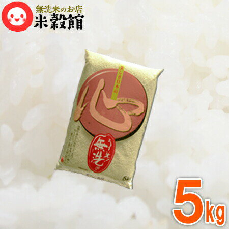 無洗米 5kg 2個で送料無料 米 九州産