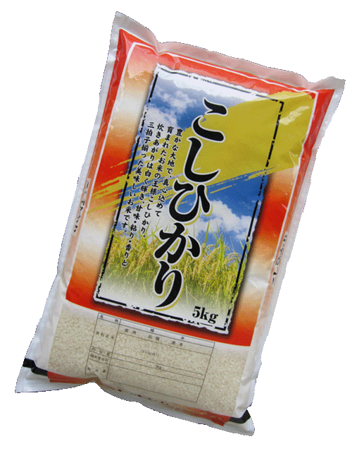 白米・研ぐお米 コシヒカリ5kg数量限定5kg×2個以上で送料無料♪産地は届いてからのお楽しみ♪のサムネイル