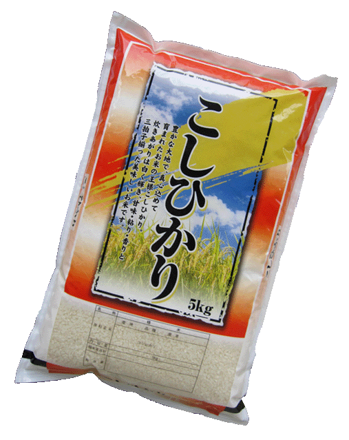 無洗米 5kg 九州 宮崎県産 米コシヒカリ5kg×1個 無洗米 5kg」...