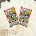 無洗米 10kg 九州 宮崎県産コシヒカリ10kg 送料無料 九州産 米 九州の新米10kg(5kg×2個セット)令和元年産新米