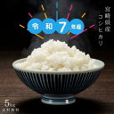【令和7年産】無洗米 5kg 九州 新米コシヒカリ5kg×1個 無洗米 5kg 送料無料 5キロ 送料込み洗わなくていい無洗米は、無洗米のお店「米穀館」におまかせください!