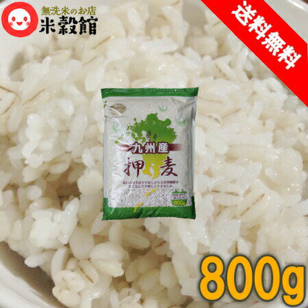 送料無料 九州産 押し麦800g×1個クリックポ...の商品画像