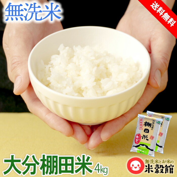 令和6年産 国内産無洗米 4kg 大分玖珠九重の棚田米九州産 米 無洗米 2kg×2 送料無料