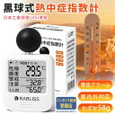 【社員も驚く価格設定!】最低 2,980 円 / 個!熱中症指数計 黒球式熱中症指数計 熱中症対策 工事現場 球式 黒球 WBGT 測定器 ラブリス 小林薬品 熱中症計 温湿度計 時計表示付き アラーム機能 カラビナ付 暑さ指数計 温度計 屋内 屋外 室内 学校 団体用 予防用具 指数計