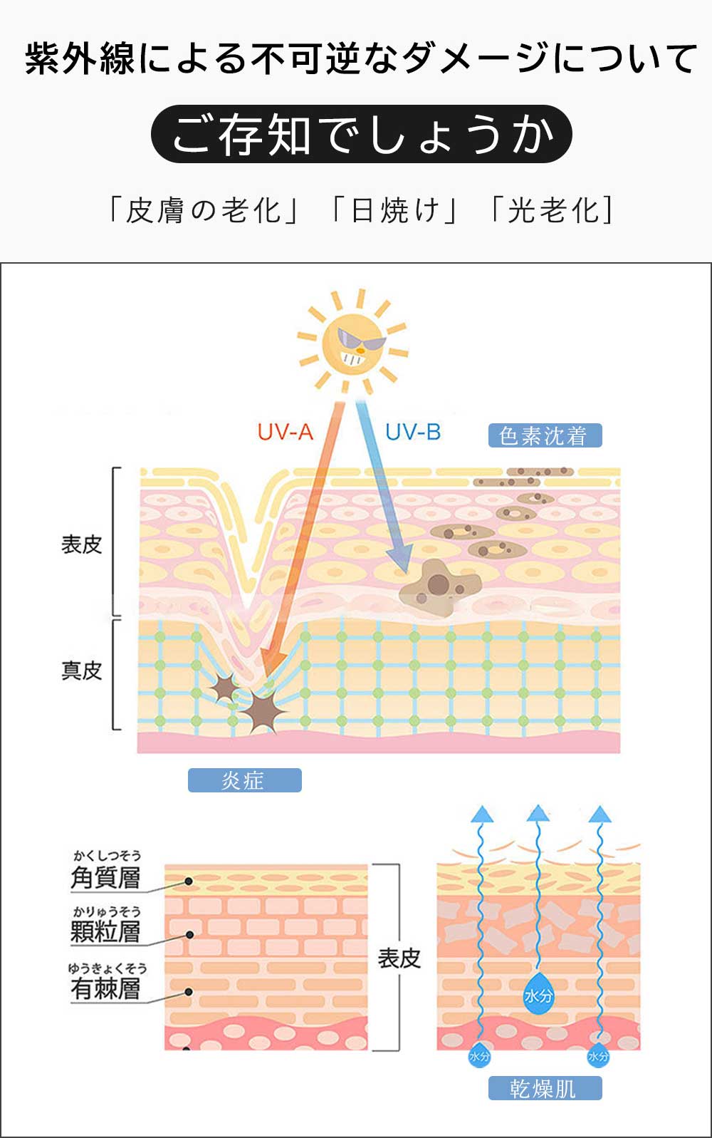 ��� ���� �������� UV���å� �ޤꤿ���� ��Ǯ ���� �� �����׸� ���� ���� ���� ������� �ޤꤿ���߻� ��ǥ����� �ˤ����� �׸� �礭�� �ޤ���߻� �������ѻ� ����ѥ��� ���������� �礭�� ���ä����� ������ �ޤ���� ���ե� �ץ쥼���