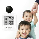 【事業者 & 法人向け インボイス対応 1年保証】黒球式 熱中症指数計 JIS適合 WBGT 指数 計 携帯型 アラームでお知らせ JIS準拠 wbgt測定器 屋外用 壁掛け 屋外 屋内 室内 外 熱中症指数系 携帯 黒球 WBGT測定器 温湿度計 時計表示付き アラーム機能 暑さ指数計 厚生労働省