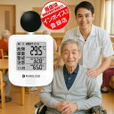 【事業者 & 法人向け インボイス対応 1年保証】黒球式 熱中症指数計 JIS適合 WBGT 指数 計 携帯型 アラームでお知らせ JIS準拠 wbgt測定器 ...