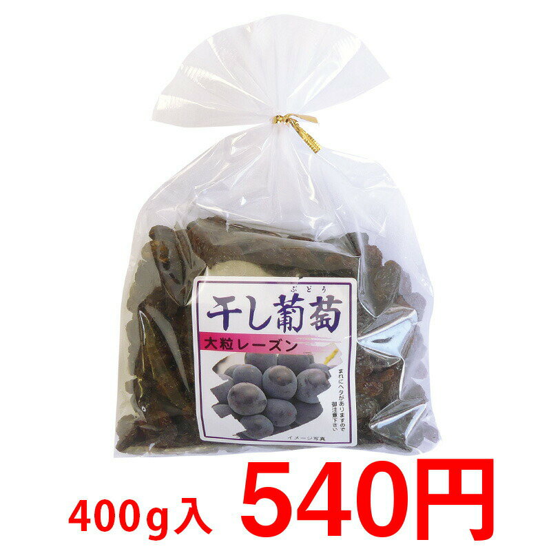 巨峰の郷 (大粒レーズン) 400g 1袋【8-0113】大粒 ほしぶどう ドライフルーツ レーズン 干しぶどう 食品 フルーツ 果物