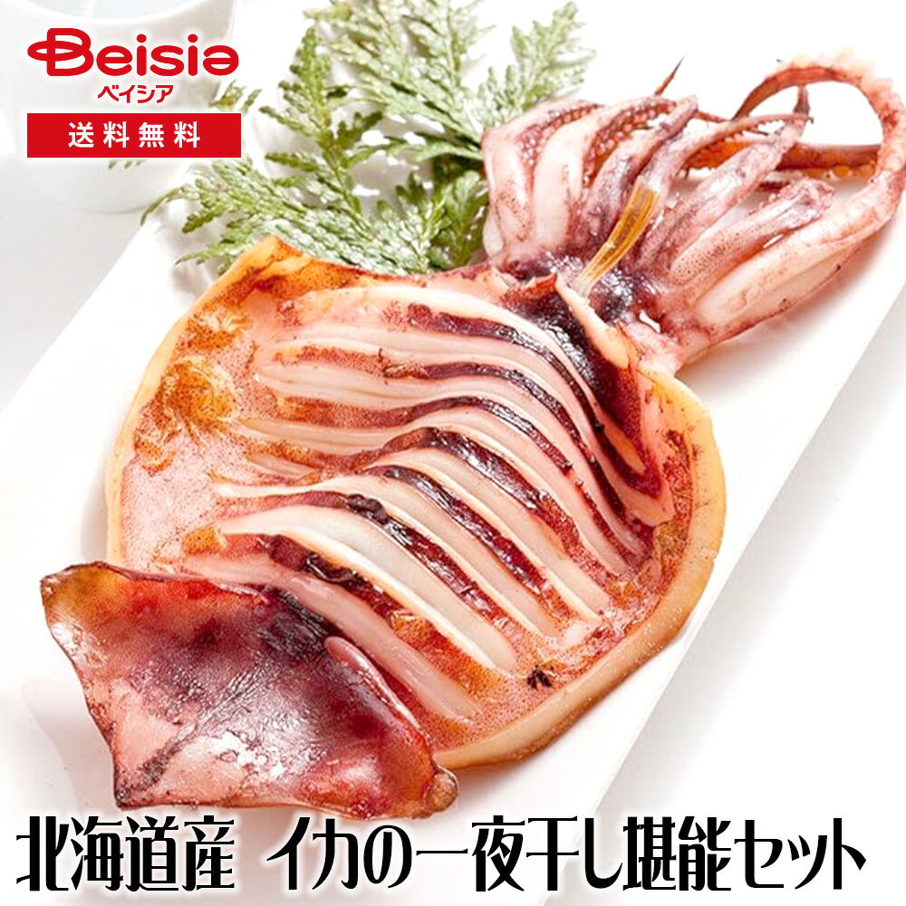 レブニーズ 北海道産 イカの一夜干し堪能セット(5枚)送料無料 冷凍