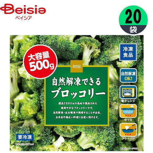 冷凍野菜 富士通商 大容量自然解凍できるブロッコリー 500g×20個 ブロッコリー おかず まとめ買い 業務用 冷凍