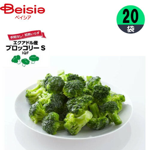 冷凍野菜 富士通商 IQF 自然解凍ブロッコリーS（エクアドル産） 500g×20個 おかず まとめ買い 業務用 冷凍