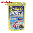 イトスイ 金魚の主食納豆菌90g ×4個