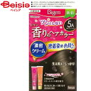 ホーユー ビゲン香りのヘアカラークリーム5A(40g+40g)