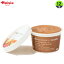 アイスクリーム HiOLI フローラルチョコレート95ml×12個 まとめ買い アイス