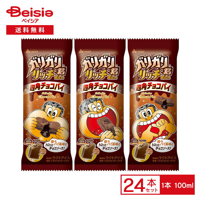 赤城乳業 ガリガリ君リッチ 四角チョコパイ 100ml×24本 | アイス 期間限定 ガリガリ君 チョコパイ風味 ビスケット入り かき氷 チョコソース アイスバー スイーツ デザート まとめ買い