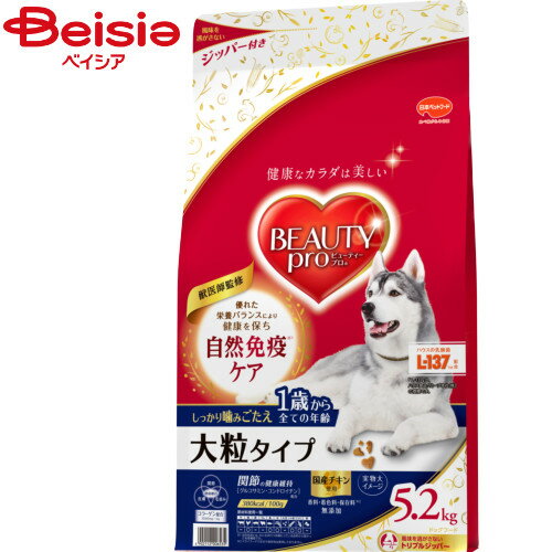 日本ペットフード ビューティープロドッグ大粒タイプ1歳から5.2kg×1個 まとめ買い 業務用 ペット | ドッグフード 大粒 1歳から 成犬用 ドライフード 5.2kg まとめ買い 業務用 国産 犬の餌 ペットフード 犬 健康維持 毛並み 皮膚 栄養バランスのサムネイル