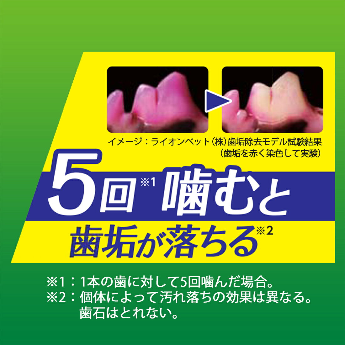 サンプル画像3