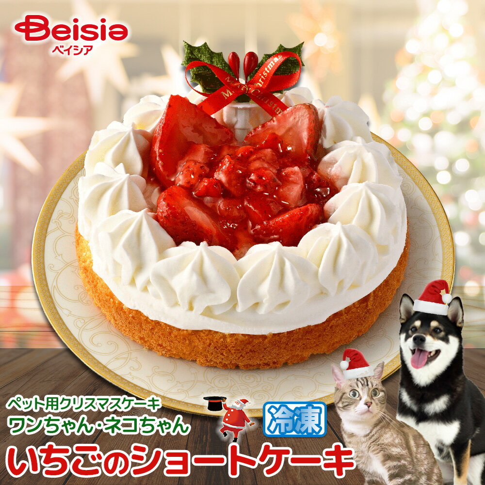 【ご予約受付中】 ワンちゃん・ネコちゃん用 苺のクリスマスショートケーキ 冷凍 2024-A | ペットケーキ ペット向けケーキ ペット用ケーキ クリスマスケーキのサムネイル