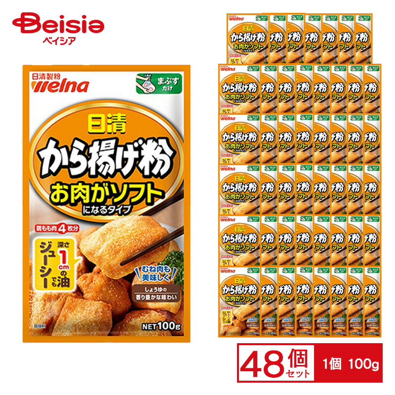 日清ウェルナ 日清 から揚げ粉 お肉がソフトになるタイプ 100g×48個 ケース販売 まとめ買い