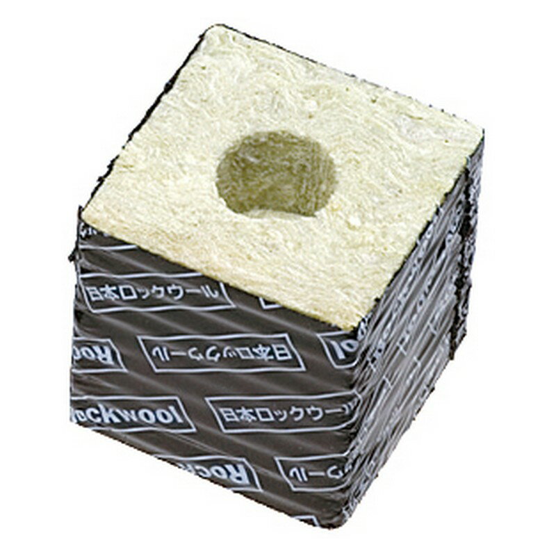 ٥ŷԾŹ㤨֥ޥ åݥå75 4P   ǥפβǤʤ605ߤˤʤޤ