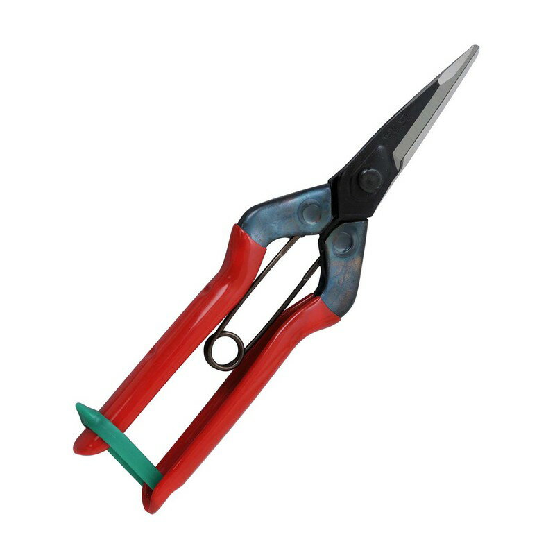 チカマサ 大型摘果鋏 T−601K 園芸道具 鋏 収穫鋏(4)