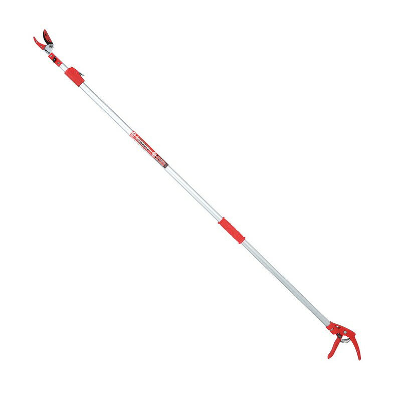 E−Value 伸縮式高枝切鋏（鋸付き） EGLP−1 園芸道具 高枝切 伸縮式高枝切