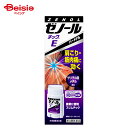 【第3類医薬品】ゼノールチックE 33g