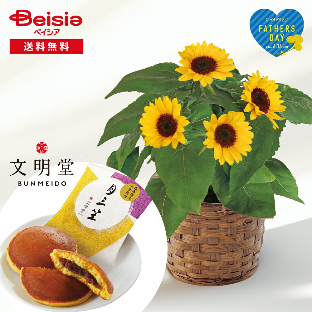 父の日 ひまわり 鉢植え 5号 文明堂どら焼き セット 送料無料 メッセージカード付 | 花 ギフト ひまわり 鉢植え お菓子 どら焼き 花とお菓子 プレゼント 2024 母の日ギフト 花鉢 鉢植え 5号鉢 生花 おしゃれ かわいいのサムネイル