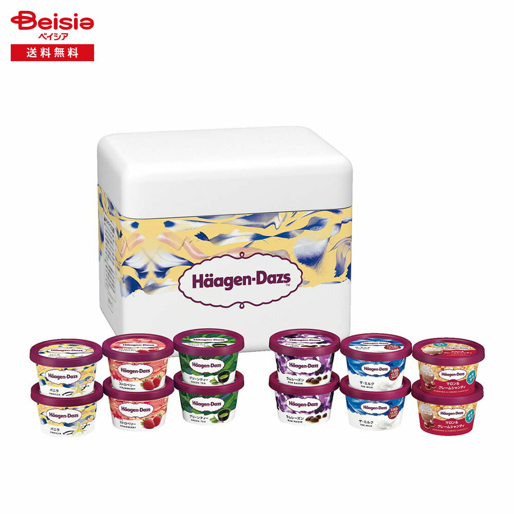 お歳暮 2025 冬ギフト オリジナルセレクションB ハーゲンダッツ 冷凍 贈り物 Gift 送料無料 335-69
