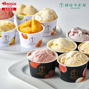 お中元 ギフト 2025 銀座プレミアムアイス&ソルベ 043-69 送料無料 冷凍品