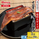 食べ応え有り!中国産有頭うなぎ蒲焼3尾 超特大サイズ タレ・山椒付(約280g/尾) | うなぎ 蒲焼き 特大 3尾 冷凍 うなぎ 蒲焼 鰻 ウナギ 土用丑の日