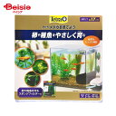水槽 スペクトラムブランズジャパン テトラメダカを育てよう ×1個