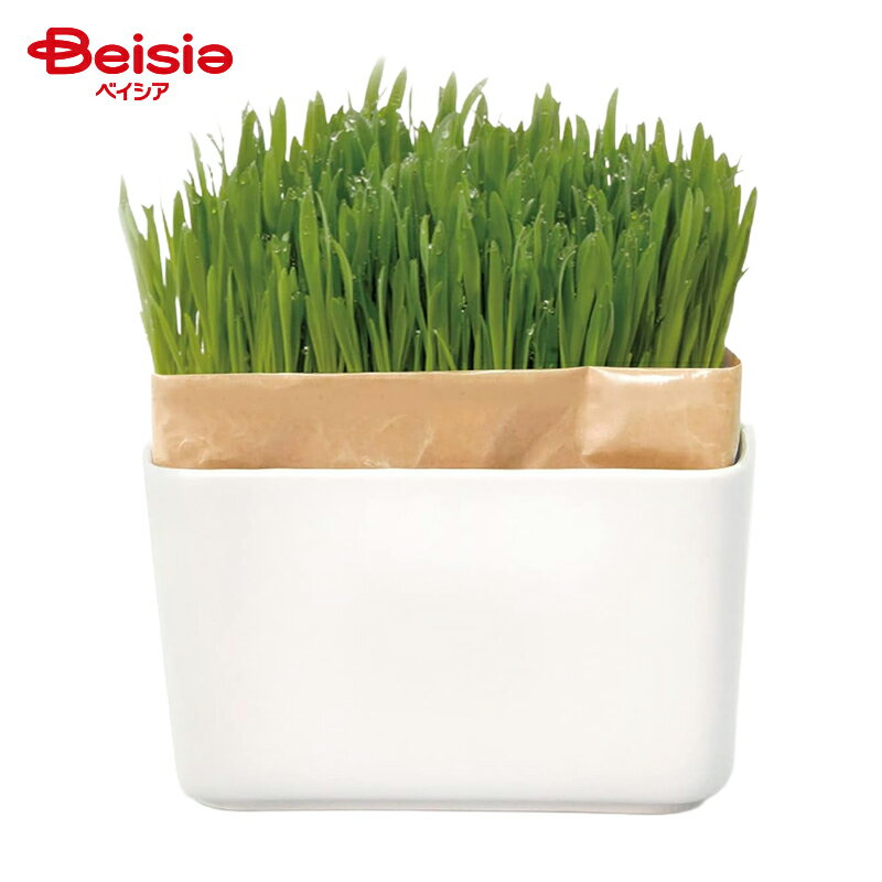 ハリオ商事 猫草栽培キット にゃんベジセットN ペット | 猫草 栽培 キット セット 種 燕麦 エン麦 無農..