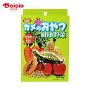 イトスイ カメのおやつ健康野菜25g ×4個
