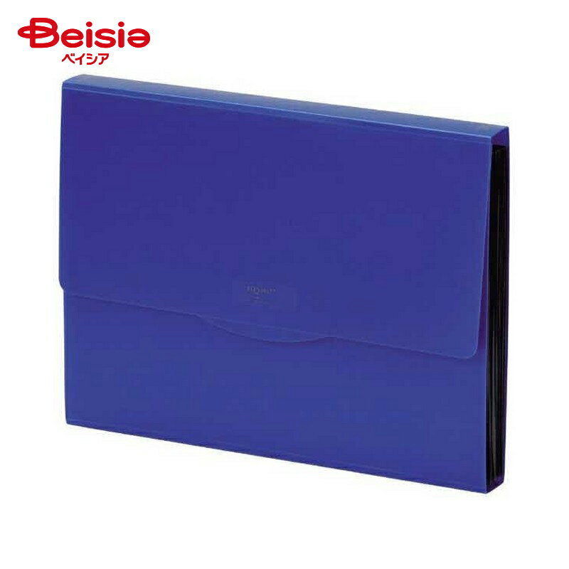 リヒトラブ リクエスト 不透明ドキュメントファイル A4 藍 12仕切 G5800-11