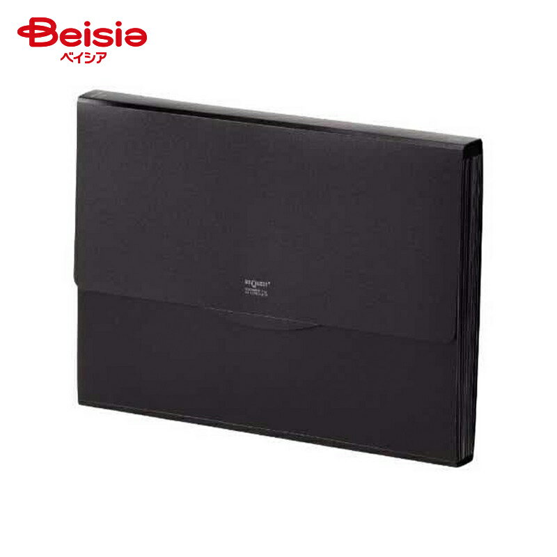 リヒトラブ リクエスト 不透明ドキュメントファイル A4 黒 12仕切 G5800-24