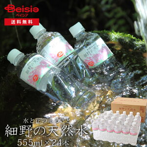 クリーン・アクア・ビバレッジ 細野天然水555ml×24本 送料無料 | 天然水 無添加 送料無料 健康飲料 お水 買い物 クリーンアクア 555ml ペットボトル 高品質