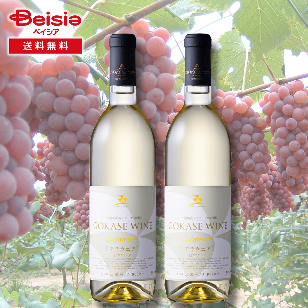 五ヶ瀬ワイナリー 五ヶ瀬ワイン デラウエア 2本セット
