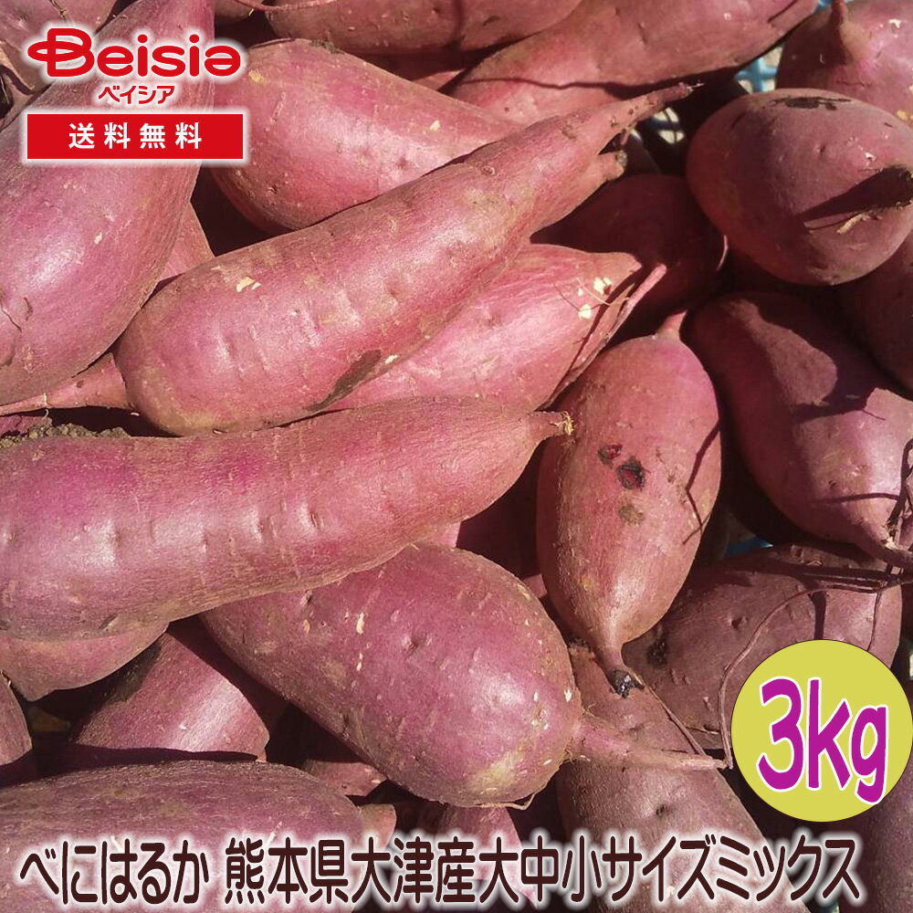 百商 さつまいも べにはるか 熊本県大津産 3kg 大中小ミックス
