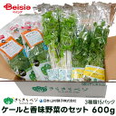 日本山村硝子 ケールと香味野菜のセット葉物野菜15パック | ケール 香味野菜 セット 新鮮野菜 健康野菜 スムージー 青汁 食材セット 料理セット 時短料理 栄養満点 国産野菜 旬の野菜