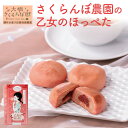 【楽天スーパーSALE限定価格★6/11 1:59まで】 大橋さくらんぼ園 さくらんぼまんじゅう | さくらんぼ まんじゅう 和菓子 スイーツ お菓子 ギフト プレゼント 贈り物 手土産 お取り寄せ お茶請け お土産 ご当地 餡子 饅頭 あんこ