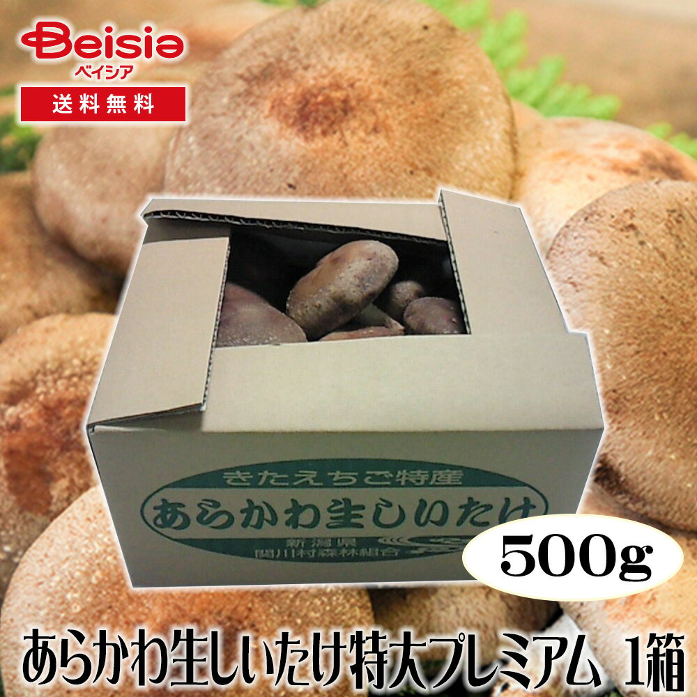 餫ץߥ500gȢ |    ʼ  ܲ ߥλ ̣ ϻϾ ץߥ