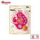 カンロ やわらかはちみつ梅 40g×6個 | 駄菓子 おやつ 子供 お菓子 おつまみ 懐かしい 駄菓子屋 詰め合わせ 人気 お徳用 お祭り 縁日 景品 自治会 町内会 子ども会 まとめ買い(4)
