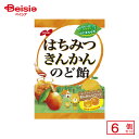 ノーベル製菓 はちみつきんかんのど飴 110g(個包装紙込み)×6個 | 駄菓子 おやつ 子供 お菓子 おつまみ 懐かしい 駄菓子屋 詰め合わせ 人気 お徳用 お祭り 縁日 景品 自治会 町内会 子ども会 まとめ買い